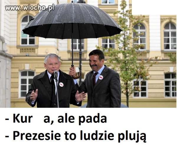 Deszczyk 