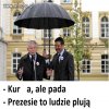 Deszczyk 
