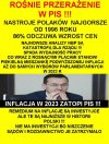 Nawet niekumaty elektorat, zaczyna kumac...