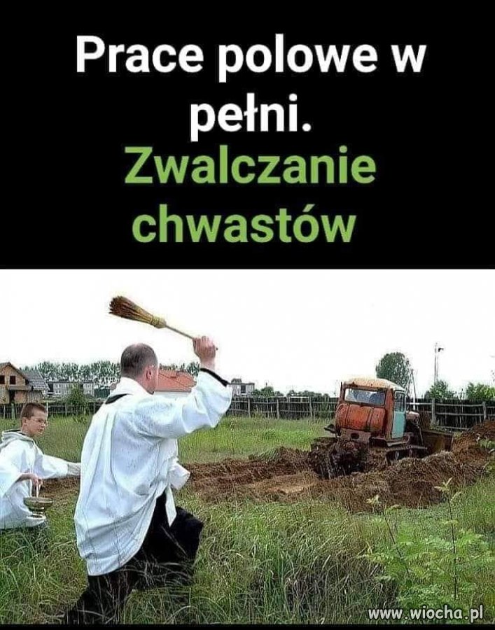 Prace polowe