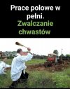 Prace polowe