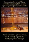 Pozdrowienia dla pszczółek