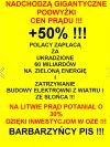 Ciekawe kogo PiS wybierze na winnego?