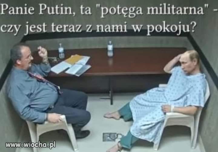 To jest kura