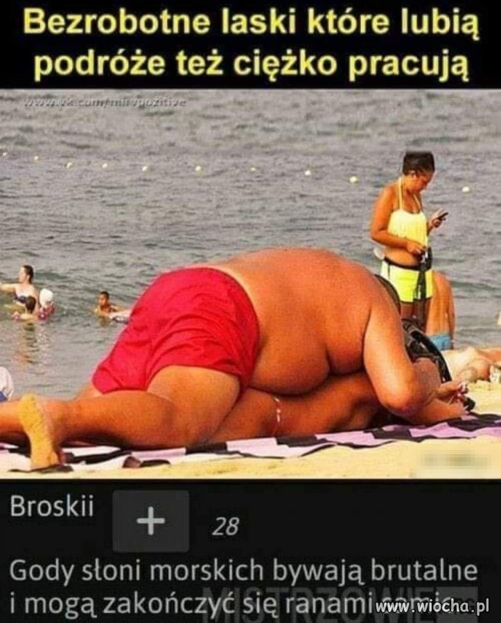 Desperatka? 