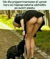 To taka przestroga