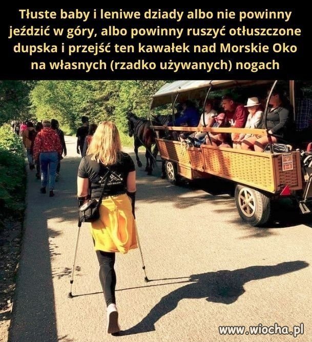 Tyle w temacie