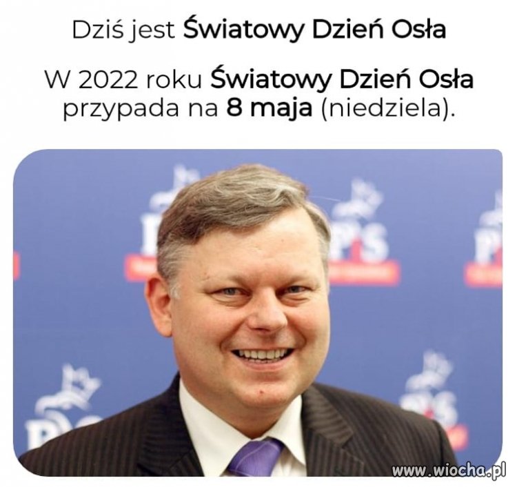 światowy Dzień Osła