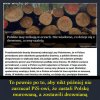 A to nie PiS twierdził że PO chciało lasy sprzedać