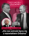 Tyle w temacie