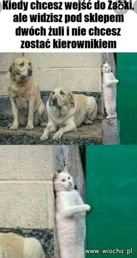 I tak codziennie