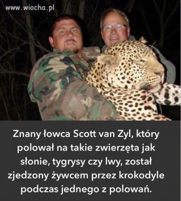Karma wraca