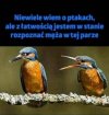 Ciekawe w 