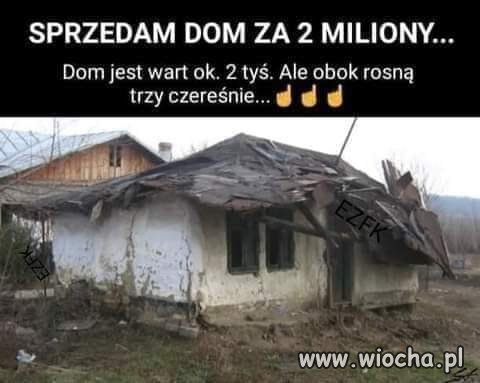 Jak szpaki