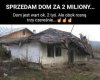 Jak szpaki