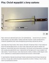 Piszanin Prawdziwy Katolik