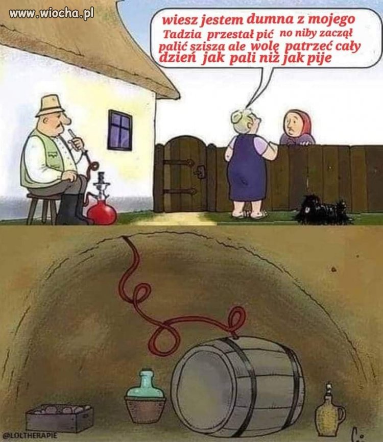 Taki z Tadzia