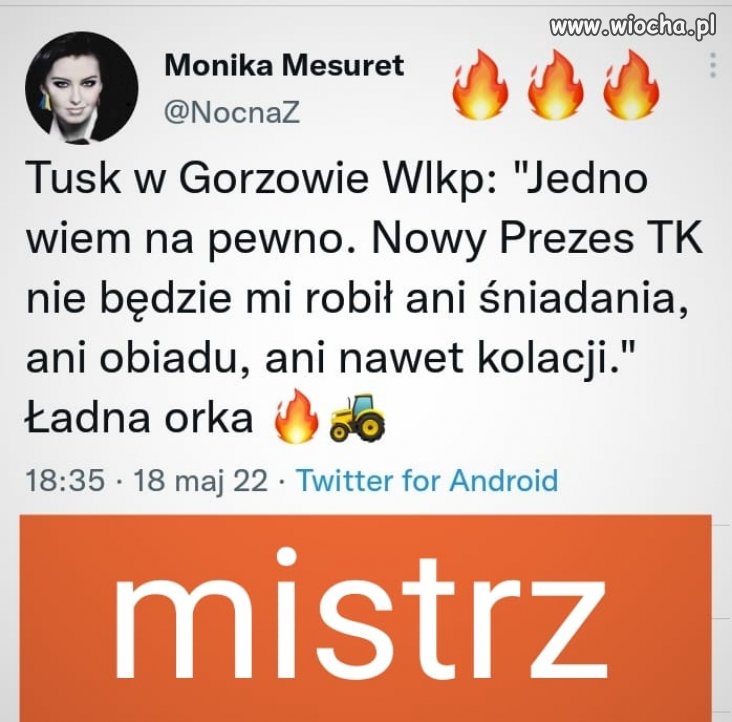Ładna orka