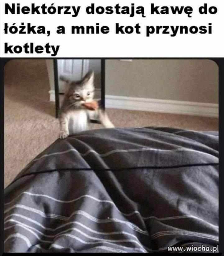 Daj spokój