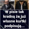 W pisie kradną