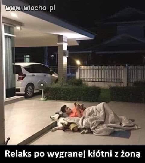 Widać że piesek