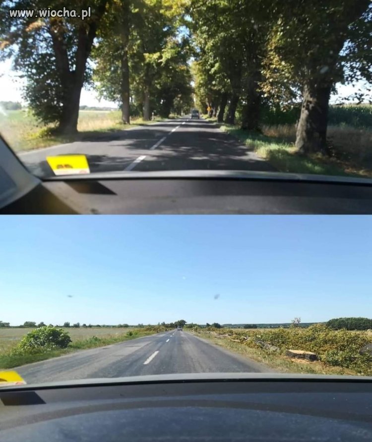 Zróbmy pustynię 
