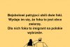 Patrioci