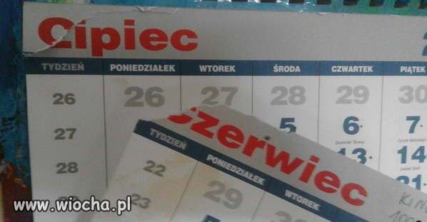 Wtedy wychodzą laski w minówkach 
