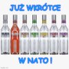 A dla strzelców