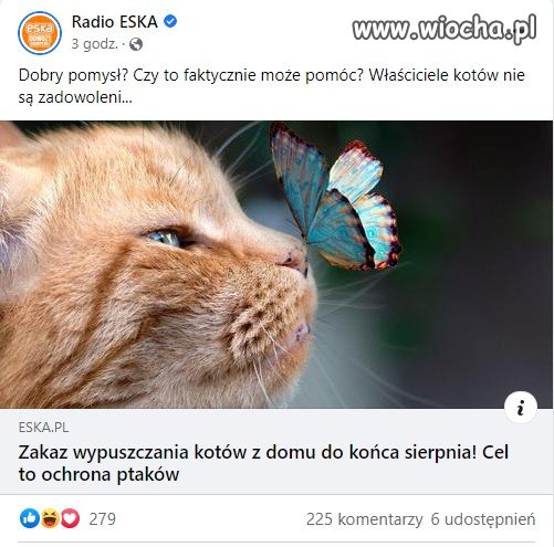 Ptaszki komuś rozum wydziobały