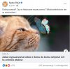 Ptaszki komuś rozum wydziobały