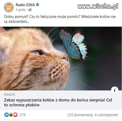 Ptaszki komuś rozum wydziobały