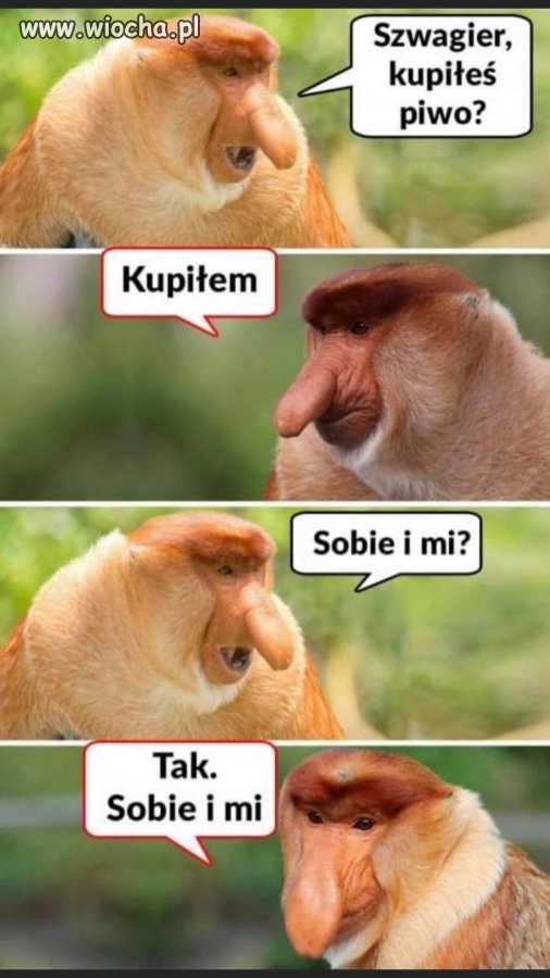 I po problemie