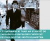 Mózgi kłamcy i osoby prawdomównej różnią się od siebie.