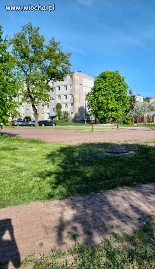 Szlaban w Wołominie