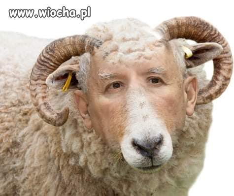 Co tu pisać
