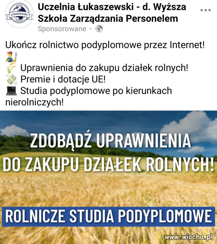 Szkoły 
