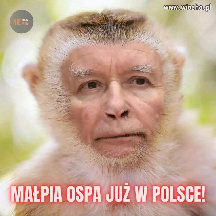 ☆☆☆☆☆ ☆☆☆