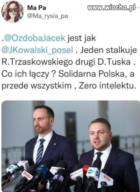 Dwa matoły . Dwa polityczne chuligany .