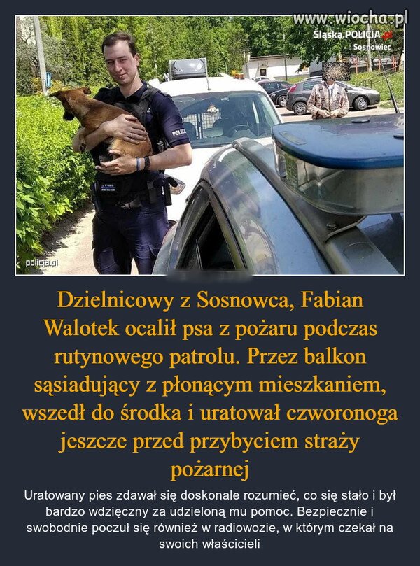 Sosnowiec też ma swojego bohatera