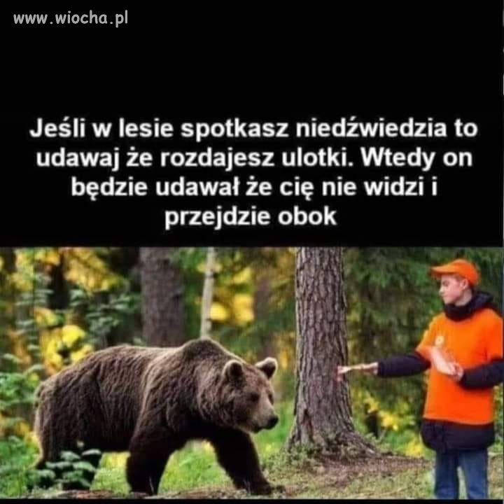 A daj