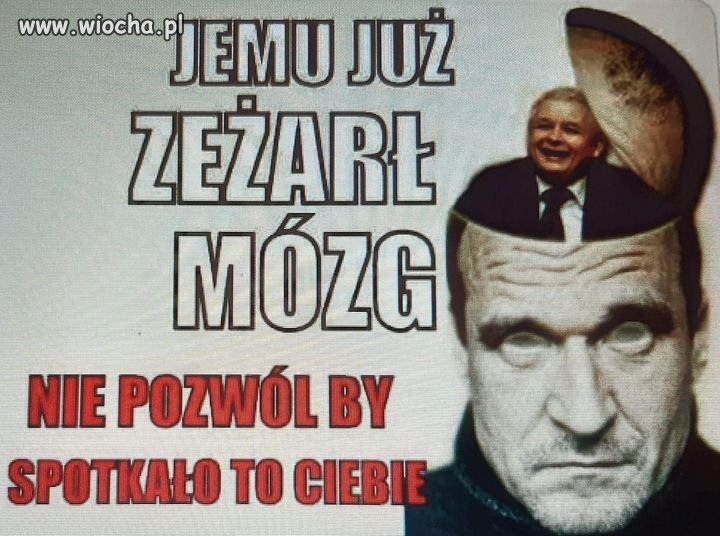 Brak komentarza