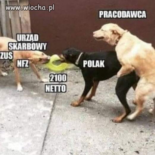To nie jest