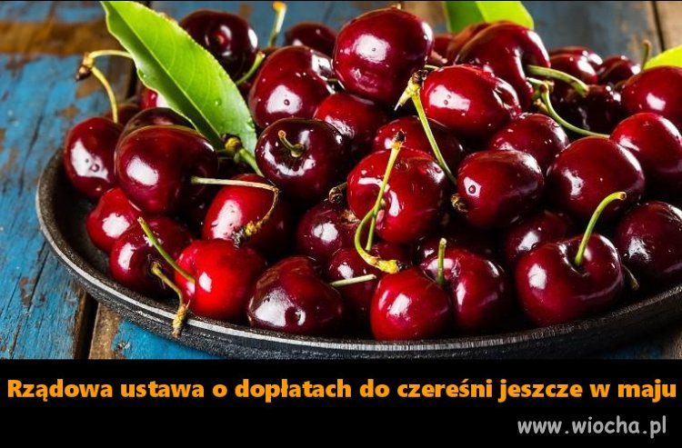 W czasach glapińskiej inflacji rząd pomoże...