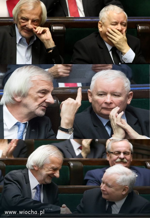 Dowcipniś