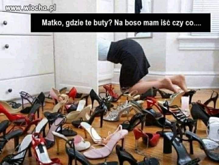 Poślubiłem stonogę