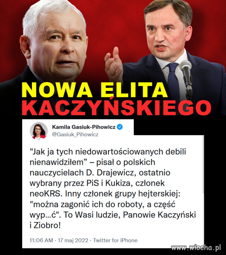 Nowa ''jelita''