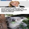 Inflacja nie jest winą PiS