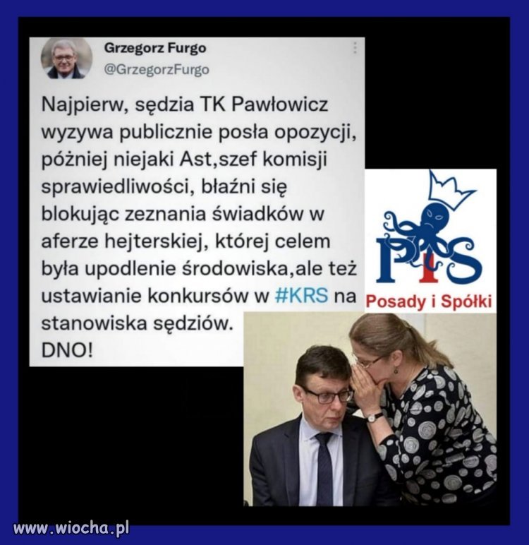 Niedouczone, śmierdzące, nijakie, bez mózgu, wiecznie kłamiące, nie potrafiące nic zorganizować