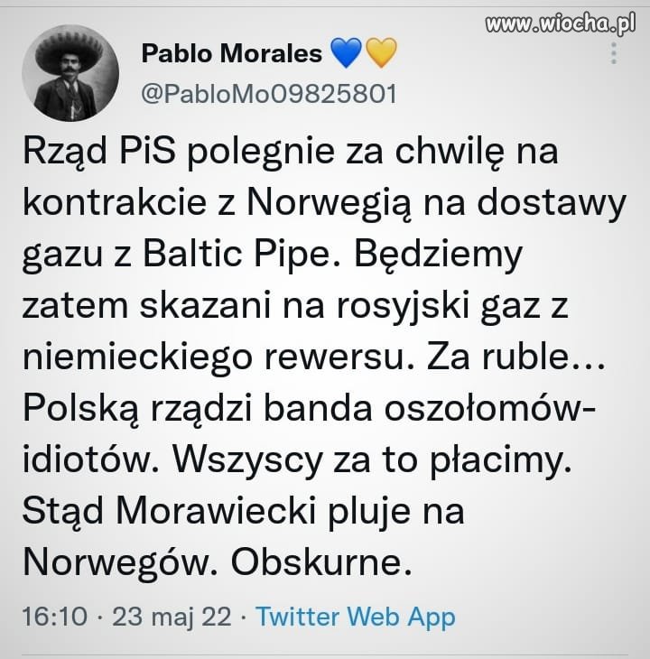 Banda idiotów sterowana przez agenturę